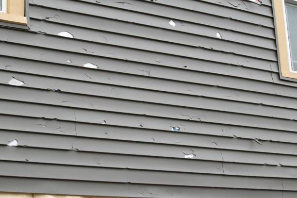 Professional Siding Installation in West Hattiesburg, MS